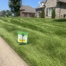 Top-quality-grass-in-Covington-Tennessee 0