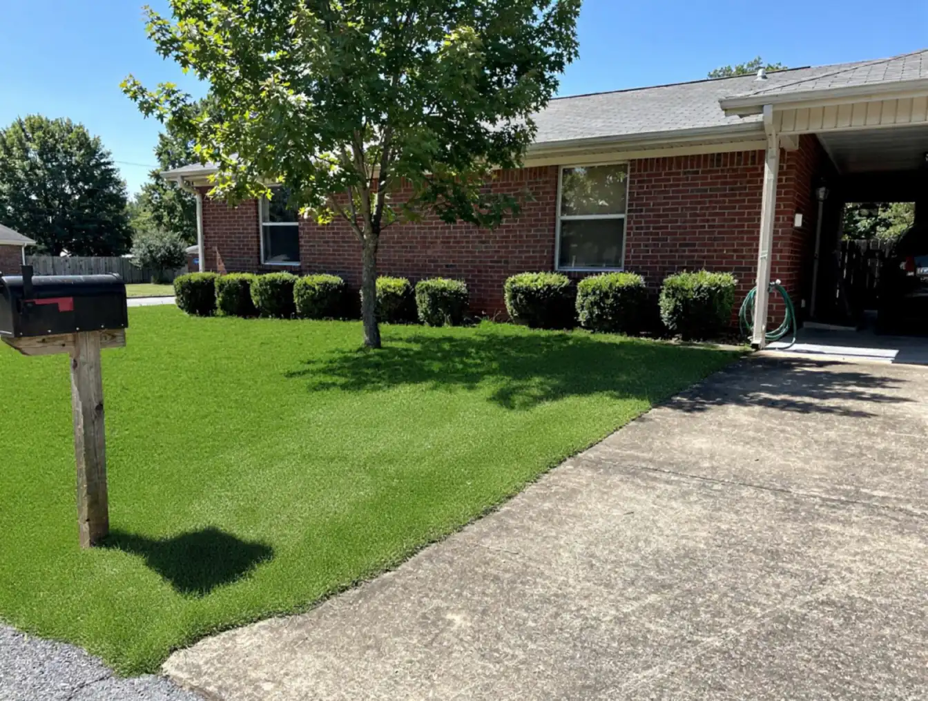 Crabgrass along the driveway edge — illustration of the same lawn treated