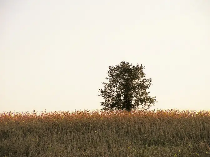 Brighton, Tennessee