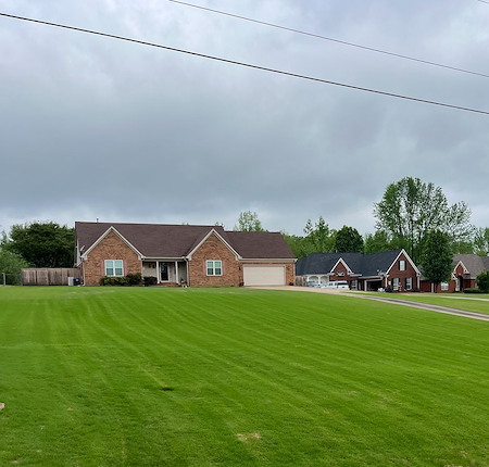 Core Aeration vs. Dethatching: Which One Does Your Lawn Actually Need?