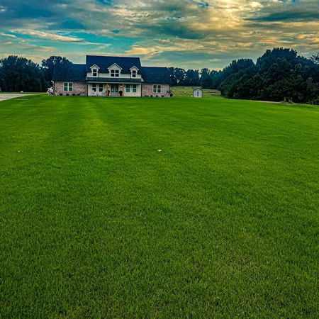 Pre-Emergent vs. Post-Emergent Weed Control in West Tennessee: What to Apply and When
