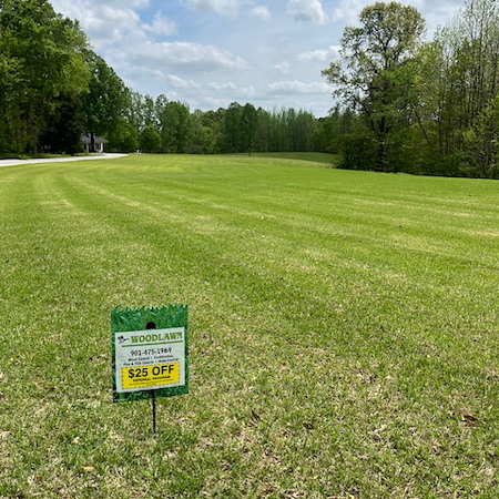 How Professional Weed Control Protects Atoka Lawns Year-Round