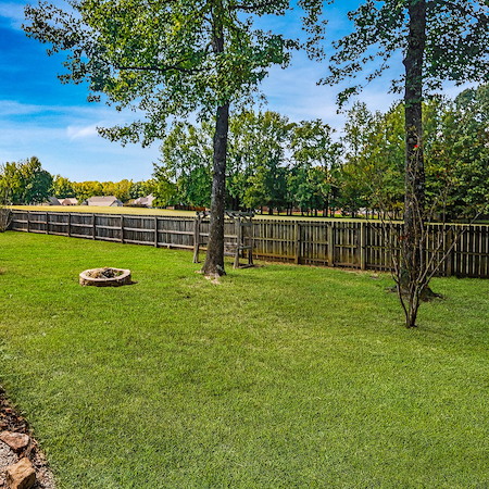 Weed Control Schedule for West Tennessee Lawns: What to Expect Month-by-Month