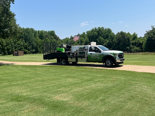 Tired of a Weedy Spring Lawn? Your Best Defense Starts Right Now.